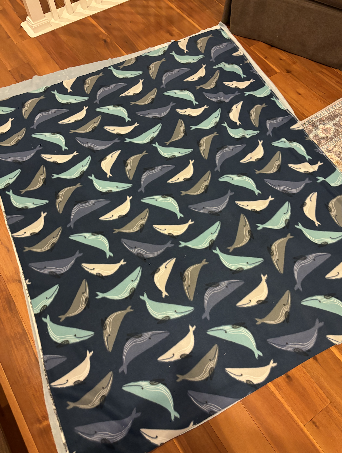 DIY blanket fabric, stretched out on the author's floor.